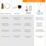 String Lights, Usb Rechargeable Wine Bottle Lights With Cork, 2025 Version Usb Fairy Light For Party Christmas