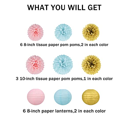 Gender Reveal Decorations Blue Pink - 15pcs Tissue Paper Flowers Pom Poms Lanterns Baby Gender Reveal Party Supplies Gender Reveal Theme Decor Gold Birthday Hanging Decor Ideas