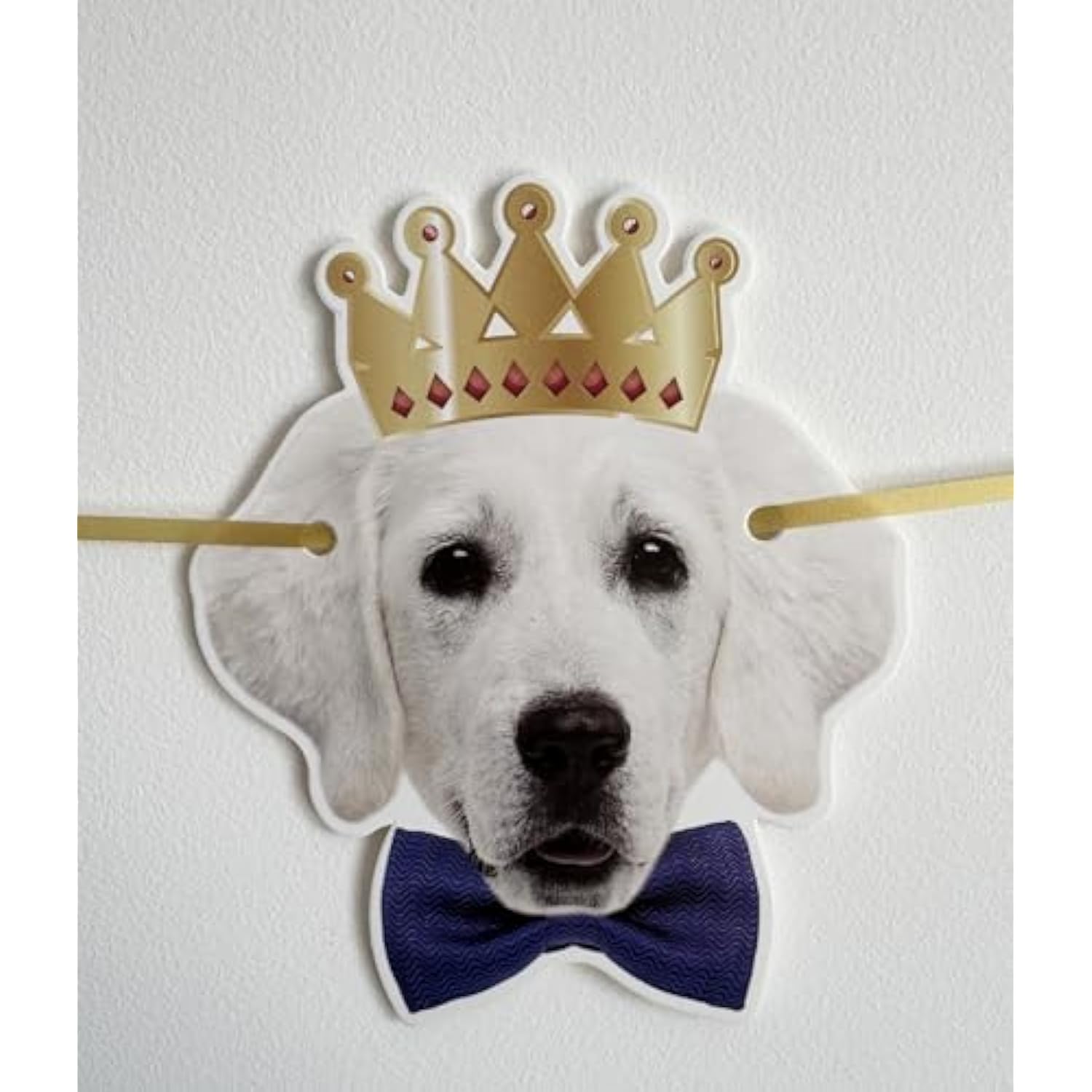 Funny Dog Birthday Garland Puppy Face "Happy Birthday" Bunting Banner Decor