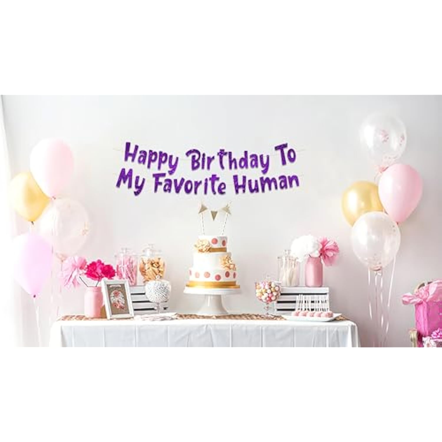 Pre-Strung Happy Birthday To My Favorite Human - Funny Birthday Purple Glitter Banner - Funny Birthday Decorations For Men And Women - Party Supplies And Gifts