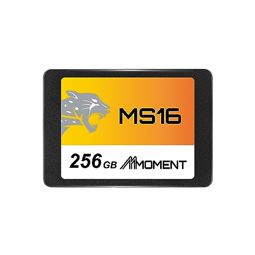 Ms16 256Gb 2.5 Inch Sata Iii 6 Gb/S Internal Solid State Drive Ssd (Read Up To 550Mb/S) Compatible With Pc Desktop