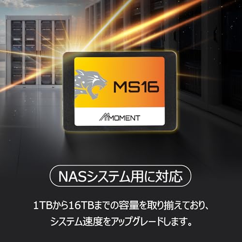 Ms16 256Gb 2.5 Inch Sata Iii 6 Gb/S Internal Solid State Drive Ssd (Read Up To 550Mb/S) Compatible With Pc Desktop