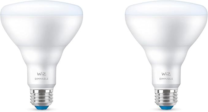 2 Pack BR30 Smart LED Flood Light Bulbs 65W Equivalent Daylight 5000K Wi-Fi Connected Dimmable Voice Control