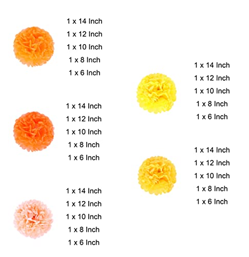 Paper Pom Poms, 25 Pcs of 6, 8, 10, 12, 14 Inch Flower Balls, Tissue Hanging Paper Pom Poms for Birthday, Wedding, Baby Shower Party Decorations (Orange)