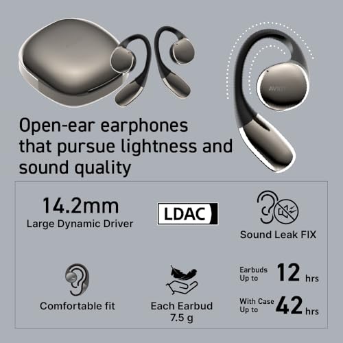 TE-H1 Open-Ear Earphones, Non-occluding Design, Ear-Hook Style, Hi-Res Audio and LDAC, Sound Leakage Reduction Mode, Up to 42 Hours of Playback,
