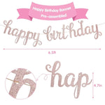Rose Gold Pink Party Decorations Set With Happy Birthday Banner, Tissue Paper Pompoms, Circle Dots Garland And Paper Tassels Garland For Women Girls