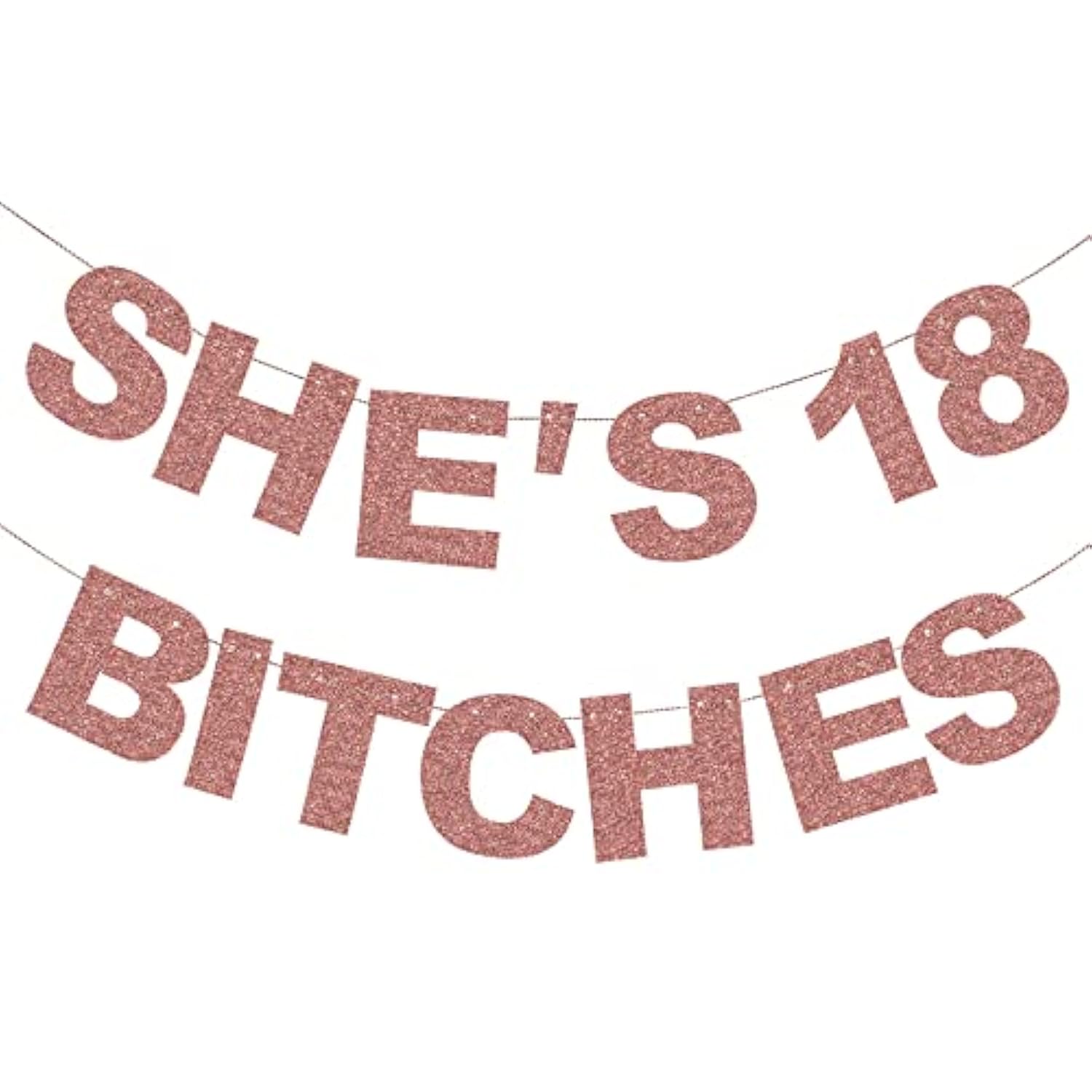 Pre-Strung She’s 18 Bitches Banner Rose Gold Glitter Funny 18th Birthday Decor