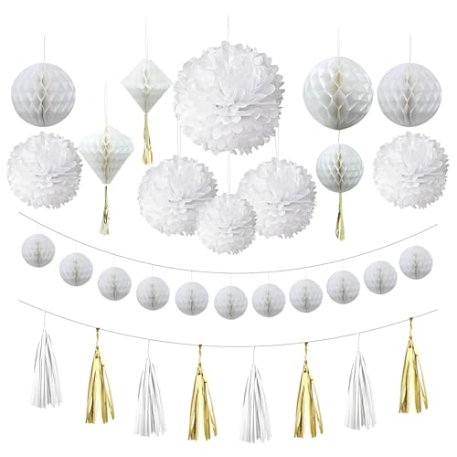 White Tissue Paper Pom Poms 12Pcs- Hanging Paper Flowers for Wedding Birthday Graduations Christmas and Special Occasions(10 & 12 inch)