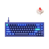 Q2 Wired Custom Mechanical Keyboard, Qmk/Via Programmable Macro, Full Aluminum, Hot-Swappable Gateron G Pro Red Switch, 65% Layout Double Gasket Compatible With Mac And Windows - Blue