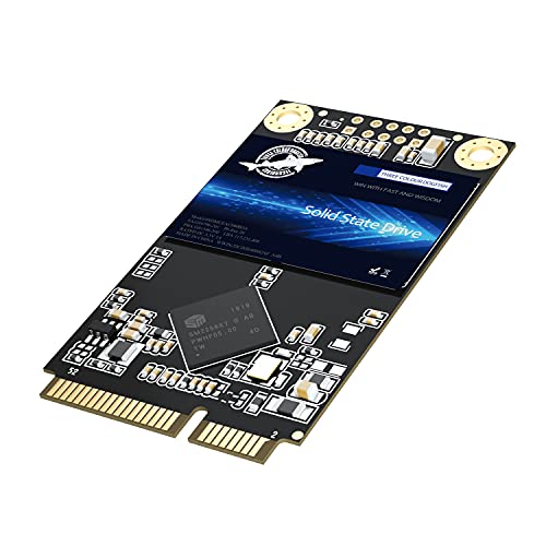 Dogfish Msata Ssd 256Gb 3D Nand Tlc Sata Iii 6 Gb/S, Msata (30X50.9Mm) Internal Solid State Drive - Compatible With Desktop Pc Laptop - (Msata 256Gb)