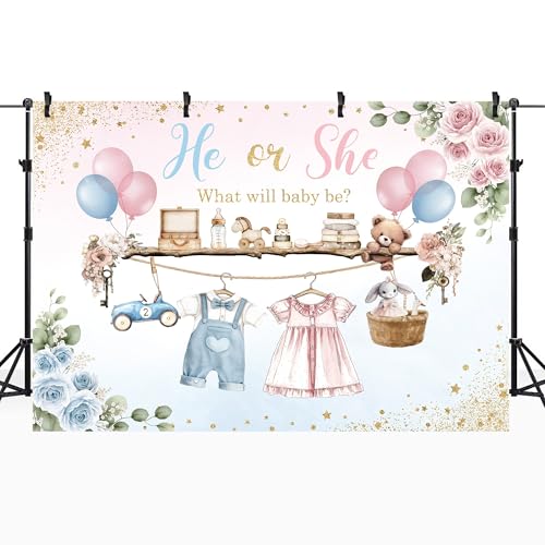 Gender Reveal He Or She Pink Photography Backdrop