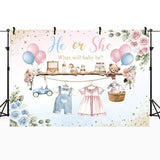 Gender Reveal He Or She Pink Photography Backdrop