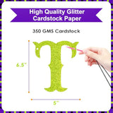 Beetle Birthday Party Banner Decorations, Halloween Christmas Glitter Beetle Themed Party Banner Supplies, Xmas Birthday Baby Shower New Year Holiday Party Banners Decor