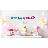 Gender Reveal Party Banner – Pink and Blue Baby Shower Decorations