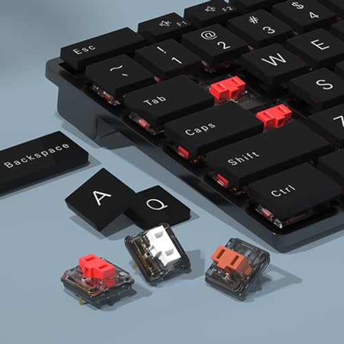 Kailh 1350 Chocolate White Low Profile Mechanical Keyboard Switches,Clicky Rgb/Smd Switch(72Pcs,Choc White)