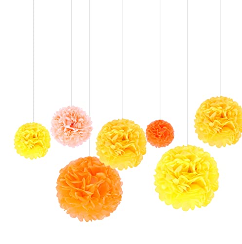 Paper Pom Poms, 25 Pcs of 6, 8, 10, 12, 14 Inch Flower Balls, Tissue Hanging Paper Pom Poms for Birthday, Wedding, Baby Shower Party Decorations (Orange)