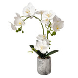 White Fake Orchids Flowers In Pot Bendable Faux Orchids Artificial Flowers Washable Silk Orchid Phalaenopsis Decor For Home Wedding Table Centerpiece Bathroom Office