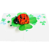3D Ladybird And Clover Pop Up Card, 3D Insect Card For Girlfriend, Wife, Mum, Grandma, Teacher, Mother Day, Anniversary, Thank You, Good Luck, Thinking Of You, Thank You, St Patrick Day Card, A23