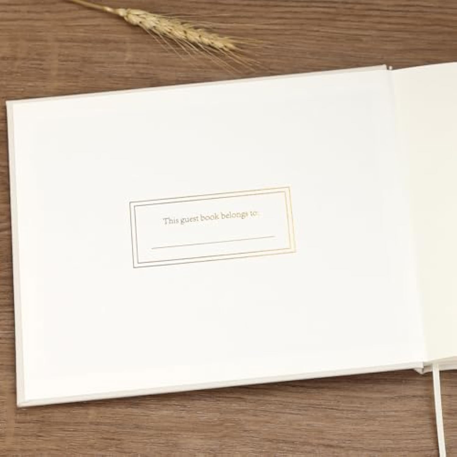 Elegant Guest Book For Wedding Reception, Beautiful Guestbook For Baby Shower And Wedding Decor, 100 Blank Pages For Sign In, Polaroid Pictures And Photos, Linen Cover (2025, Beige)