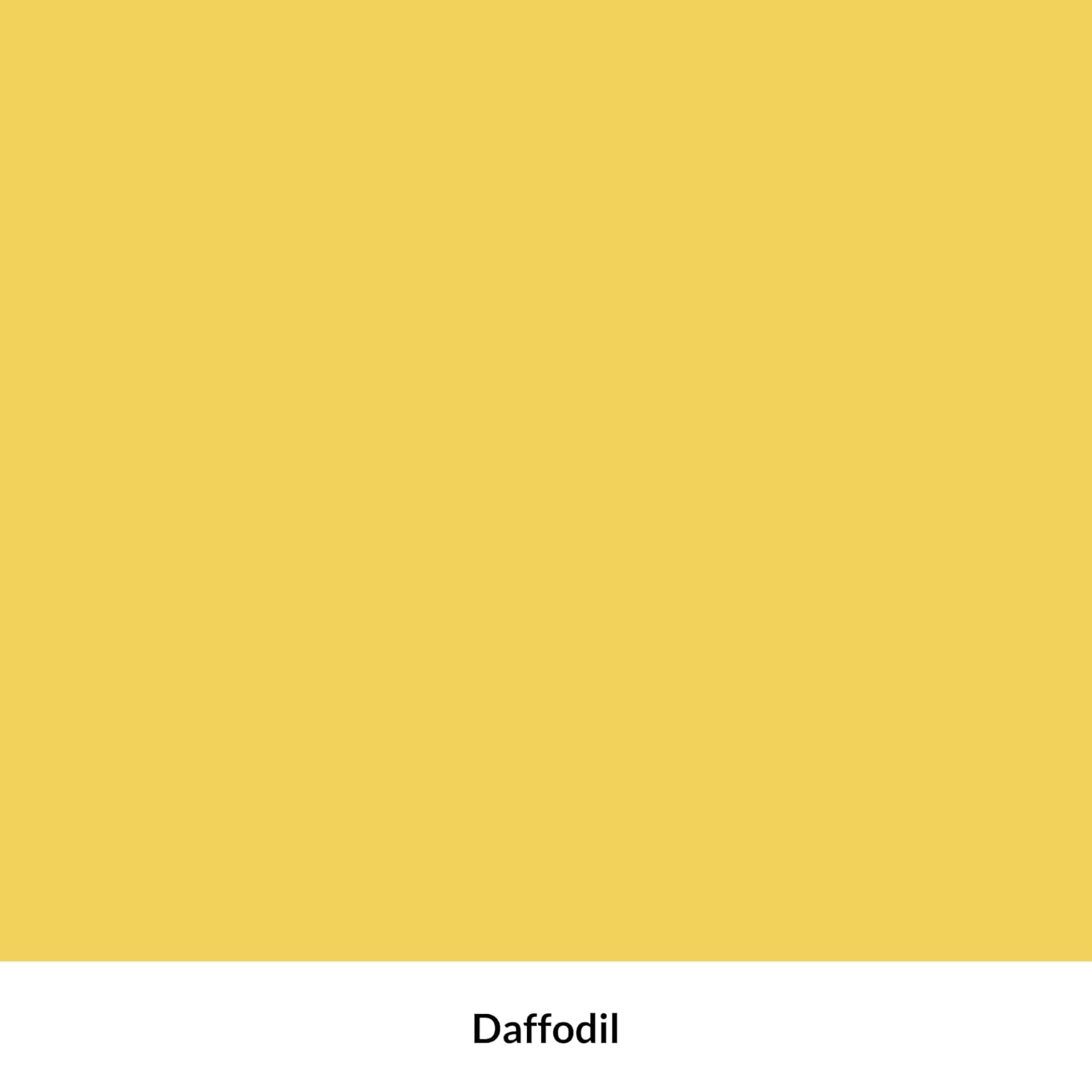 Dixie Belle Terra Clay Paint - Daffodil (4Oz) - Bright Yellow Water-Based Terra Artisan Clay Paint For Diy - Wood, Canvas, Tile, Fabric, Home