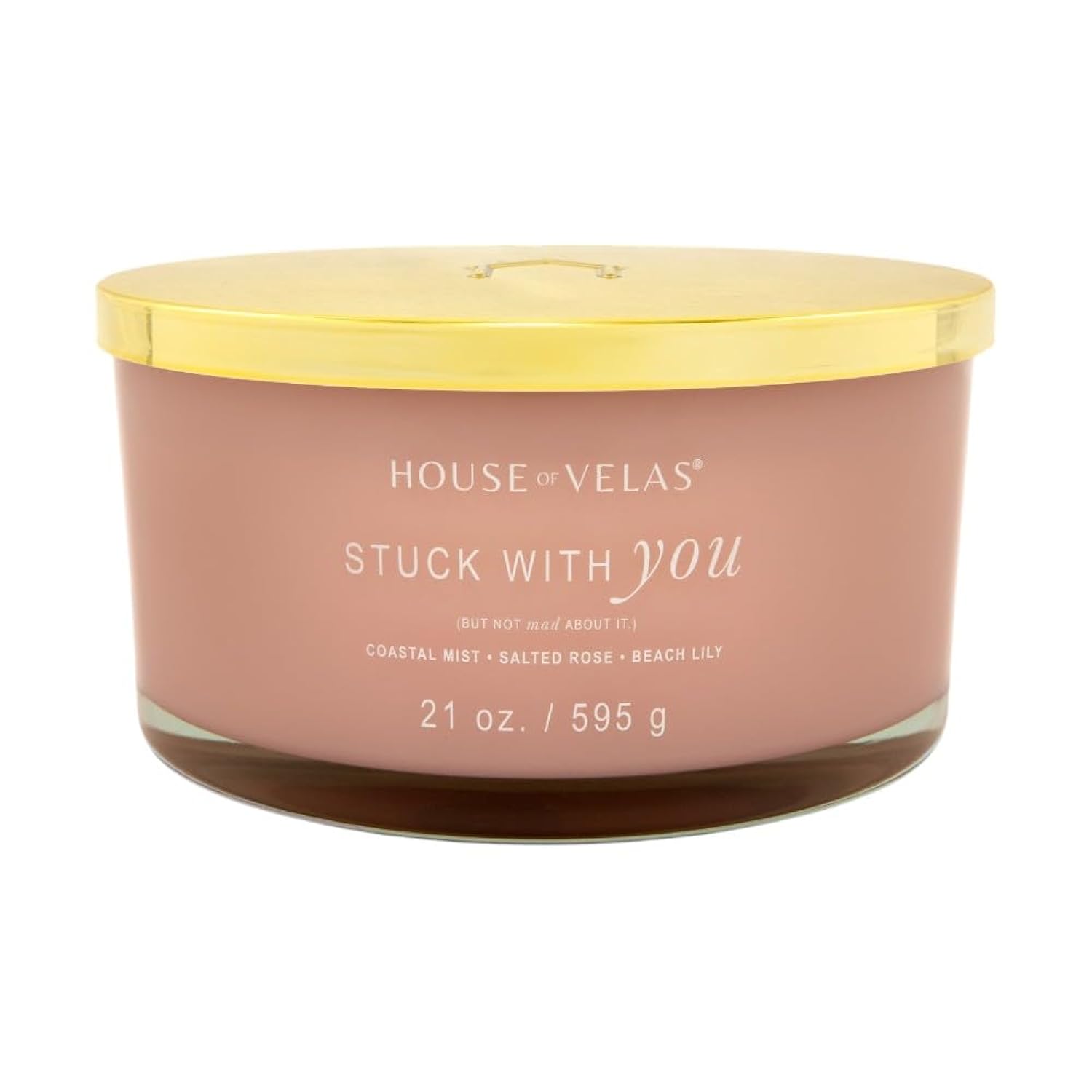 Burnable Sensations Candle, 21 Oz, 4 Cotton Wicks, Stuck With You - Fresh Coastal, Large Painted Jar