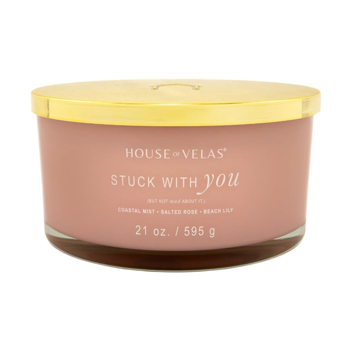 Burnable Sensations Candle, 21 Oz, 4 Cotton Wicks, Stuck With You - Fresh Coastal, Large Painted Jar