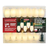 C9 Christmas Lights Outdoor, Led Frosted White Outdoor String Light, 25 Ft Commercial Grade Patio With 25 Led C9 Bulbs,