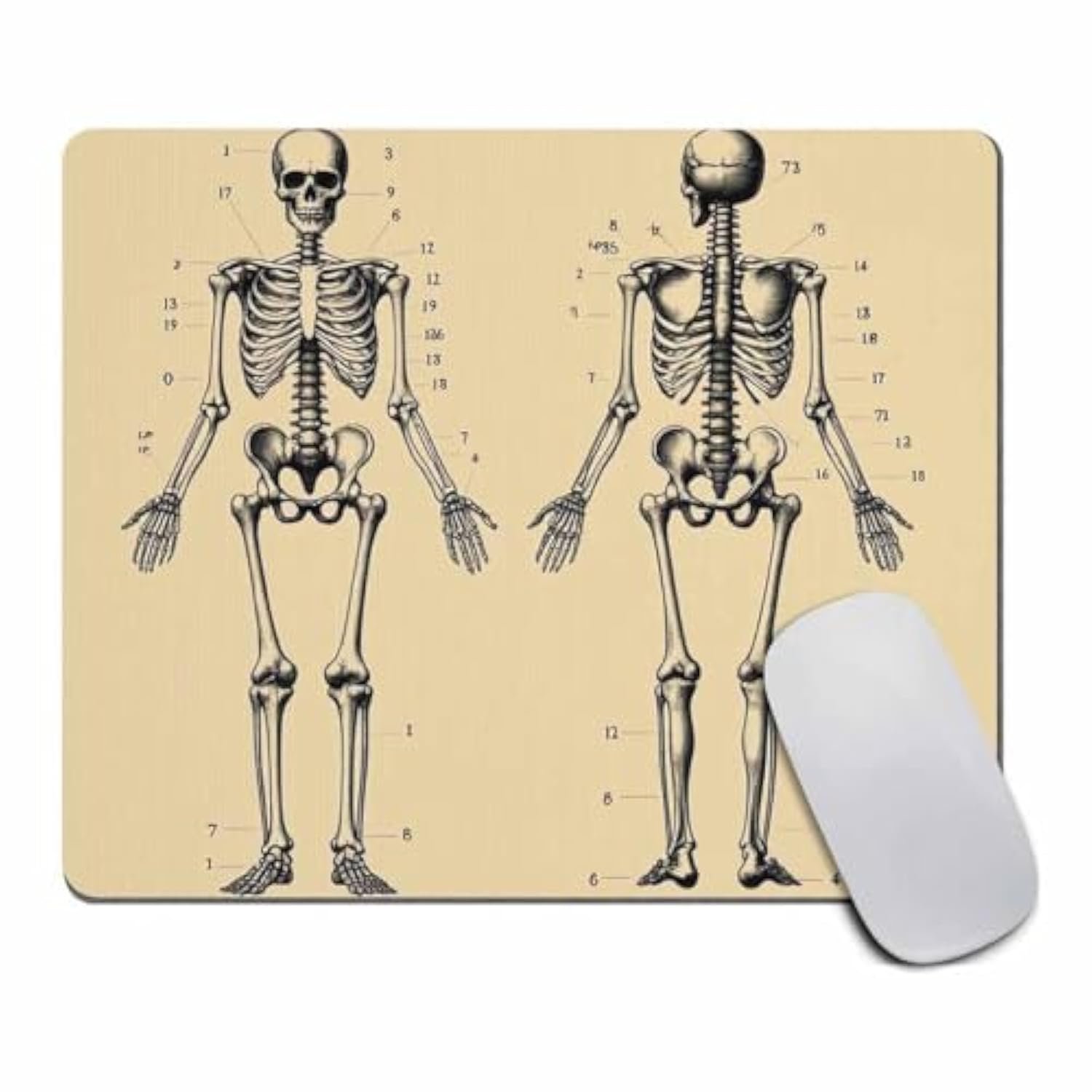 Human Skeleton Mouse Pad Rectangle - Human Anatomy Computer Or Office Work Station Decor