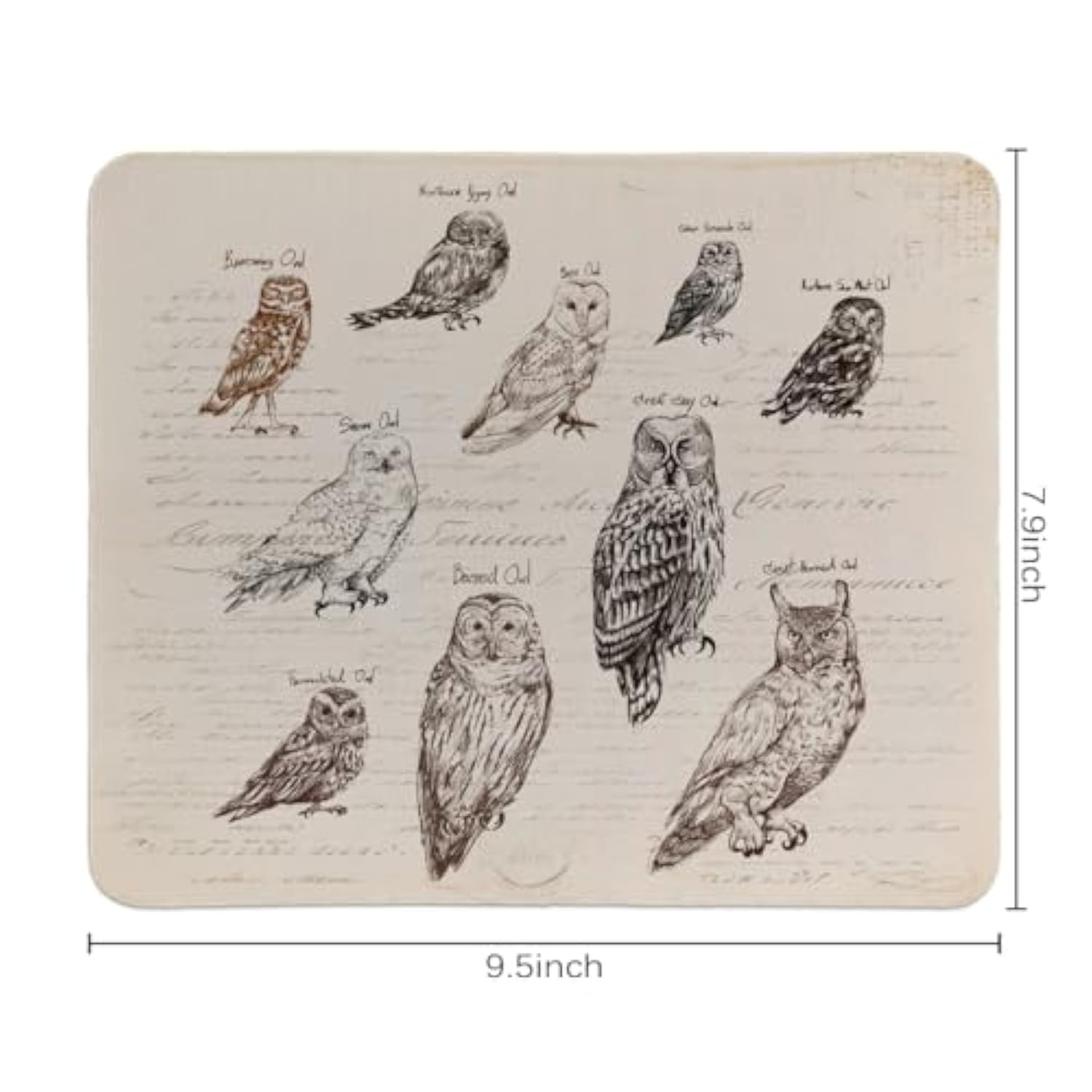 Magical Owl Funny Small Mouse Pads?Home Decor Accessories Office Supplies?Mousepad For Home Office Gaming Working Computers Laptop?Owl Gifts For Owl Lovers,9.5X7.9 Inches