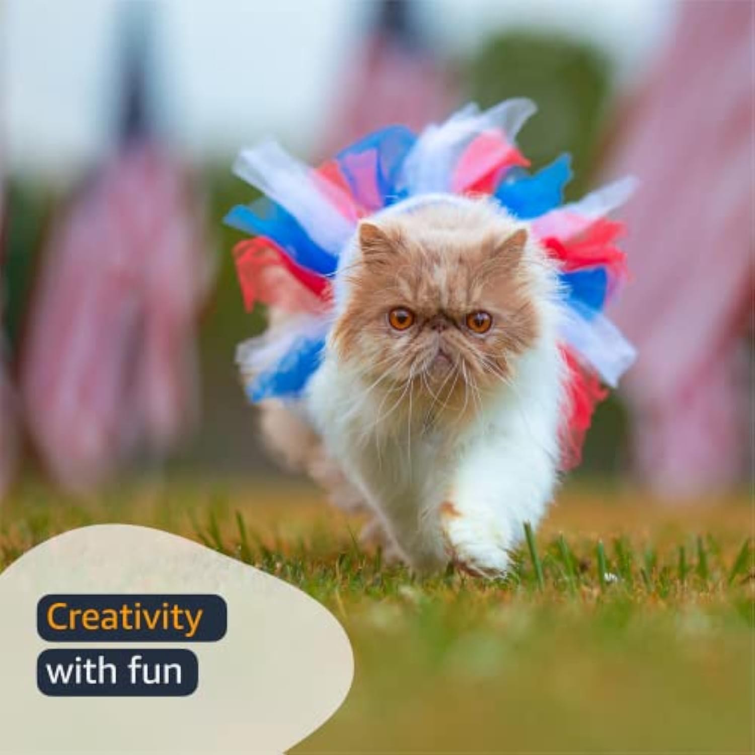 1366P3-913 Sheer 6" X 75 Yd Nylon Tulle Ribbon For Rainbow Tutu Skirt,