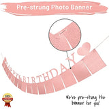 Rose Gold Sweet 16 Photo Banner – Pre-Assembled with 16 Picture Frames & Birthday Signs