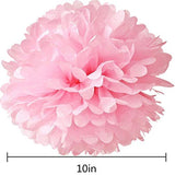 10pcs Tissue Hanging Paper Pom-poms Flower Ball Wedding Party Outdoor Decoration, Premium Tissue Paper Pom Pom Flowers Craft Kit(Pink)