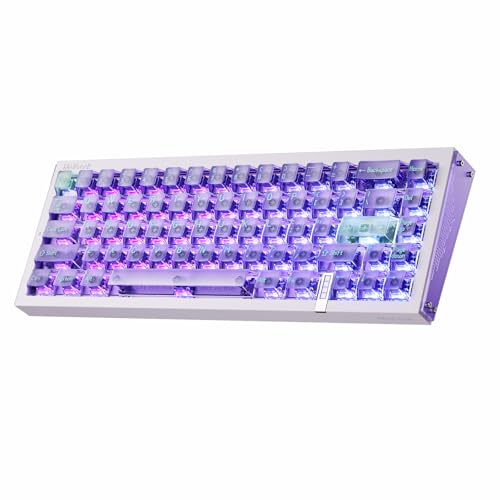 Real67 Wired Gaming Keyboard With Rgb, Magnetic Keyboard With Hall Effect, Rapid Trigger, Hot-Swappable, Snap Tap & Adjustable Actuation, Online Hive Custom (Potassium-Transparent Purple)
