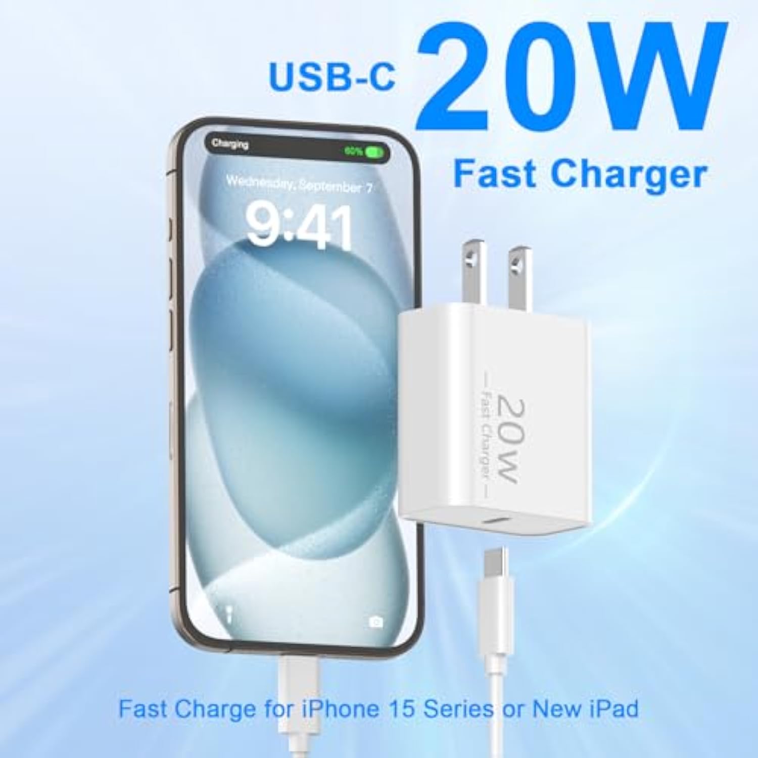 20W Usb C Fast Charger For Iphone 16/16 Plus/16 Pro/16 Pro Max/15/15 Plus/15 Pro/15 Pro Max, Ipad Pro, 2 Pack Pd 20W Type C Iphone 16 Pro Max Charger Fast Charging With 6Ft Usb C To C Charging Cable
