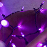 200 Purple Led Christmas Lights With Purple Wire, Pack Of 2 Strands 33 Feet 100 Lights Ul Certified Holiday String Light
