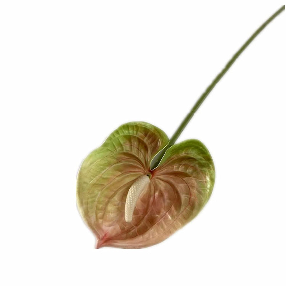 8Pcs Artificial Anthurium Flower Branch 60Cm 3D Printing Effect Faux Real Touch Single Stem Per Piece Anthurium For Home Table Floral Decoration (Chamapgne With Ligth Green)