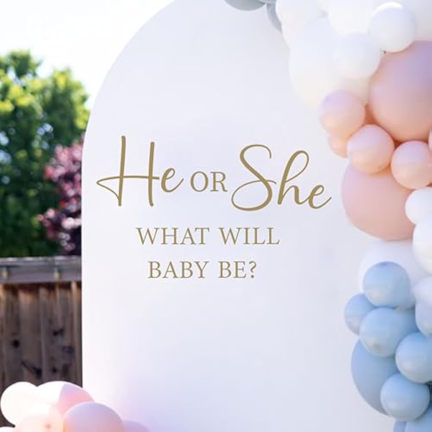 He Or She What Will Baby Be Gender Reveal Party Decal - Gender Reveal Party Decorations,Boy Or Girl Baby Shower Backdrop Sign Photo Props