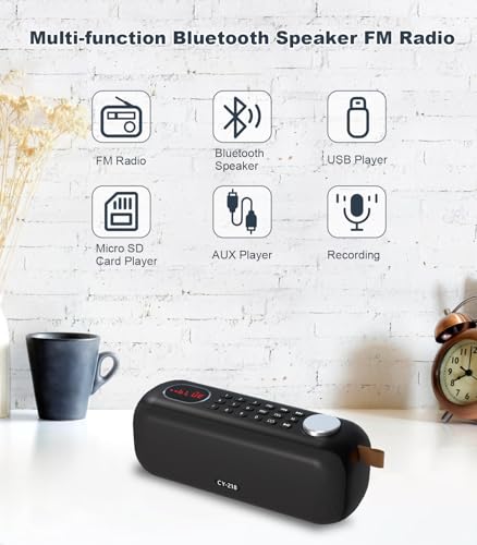 Portable Bluetooth Speaker FM Radio Digital, Support USB/SD Card MP3 Music Player/AUX/REC, Build-in 3000mAh Rechargeable Battery, 10W Powerful