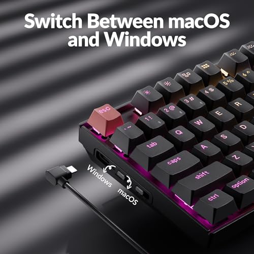 K8 V2 Wireless Rgb Mechanical Keyboard, Qmk/Via Programmable, Hot-Swappable Super Brown Switches, 87-Key Tkl Pbt Keycaps, Dual-Mode Bluetooth 5.2 & Usb-C Wired, For Mac, Windows, Linux