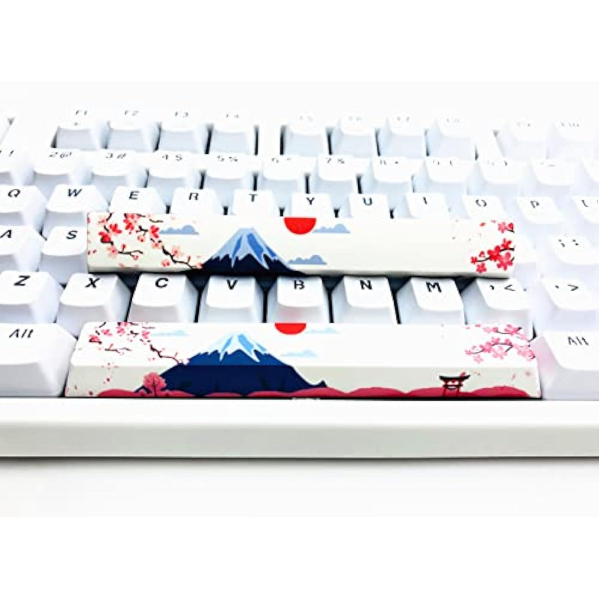 Novelty Spacebar Artisan Keycap Pbt Dye Subbed 6.25U 6.5U Custom Keycaps Cherr