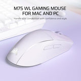 M75 Wireless Rgb Lightweight Gaming Mouse For Mac 26,000 Dpi, Swappable Side Buttons, Optical Switches, Icue Compatible Glacial Blue