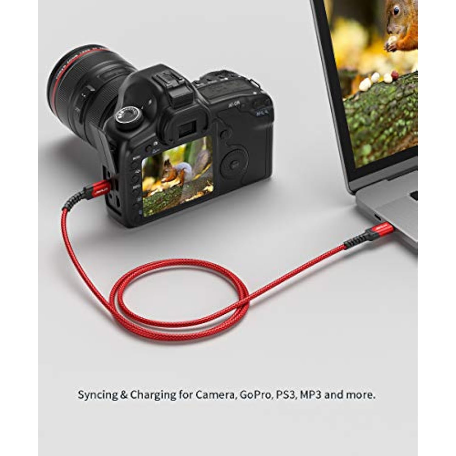 Mini B To Usb C Cable 10Ft, Usb C To Mini Usb Cable Charging Cord For Gopro Hero 3+, Ps3 Controller, Mp3 Player, Dash Cam, Digital Camera, Gps Receiver, Pdas And More Devices