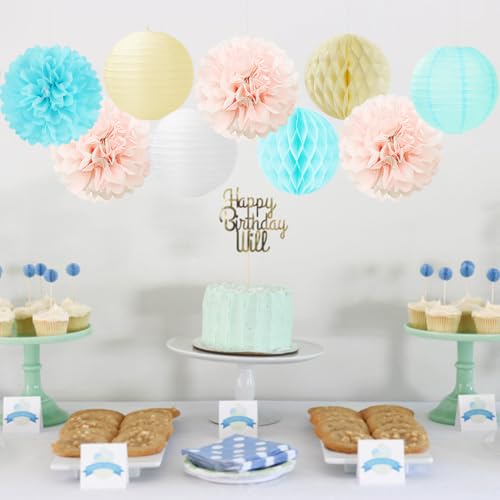 Light Blue Pink Beige Party Decorations 15pcs Gender Reveal Paper Flowers Lanterns Tissue Pom Poms Honeycomb Baby Shower Boy Or Girl Birthday He Or She Neutral Hanging Supplies