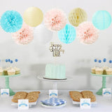 Light Blue Pink Beige Party Decorations 15pcs Gender Reveal Paper Flowers Lanterns Tissue Pom Poms Honeycomb Baby Shower Boy Or Girl Birthday He Or She Neutral Hanging Supplies