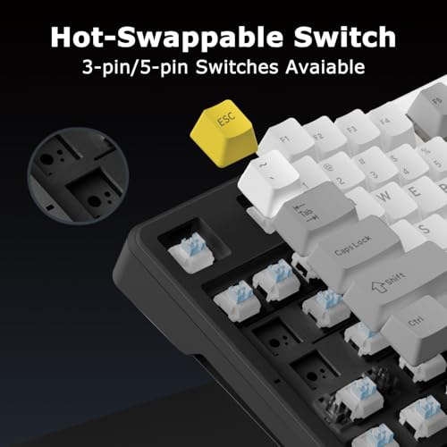 Ak870 87Keys Hot-Swappable Mechanical Keyboard, Gasket Mount Wired Gaming Keyboard With Linear Flying Fish Switches, 80% Compact, Pbt Keycaps, Rgb Backlit For Pc Gamers & Typists (Starry Night Grey)