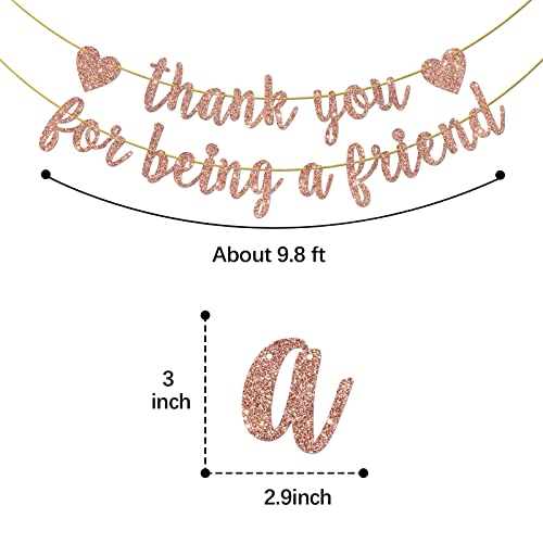 Thank You for Being a Friend Banner, Girls Party Decorations, Thank You Party Banner, Friends Birthday/Anniversary/Graduation Party Hanging Decor Supplies