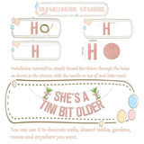 She'S A Tini Bit Older Banner - Martini Birthday Party Decorations - Tini Bit Older Decorations - Birthday Party Decor Supplies Rose Gold