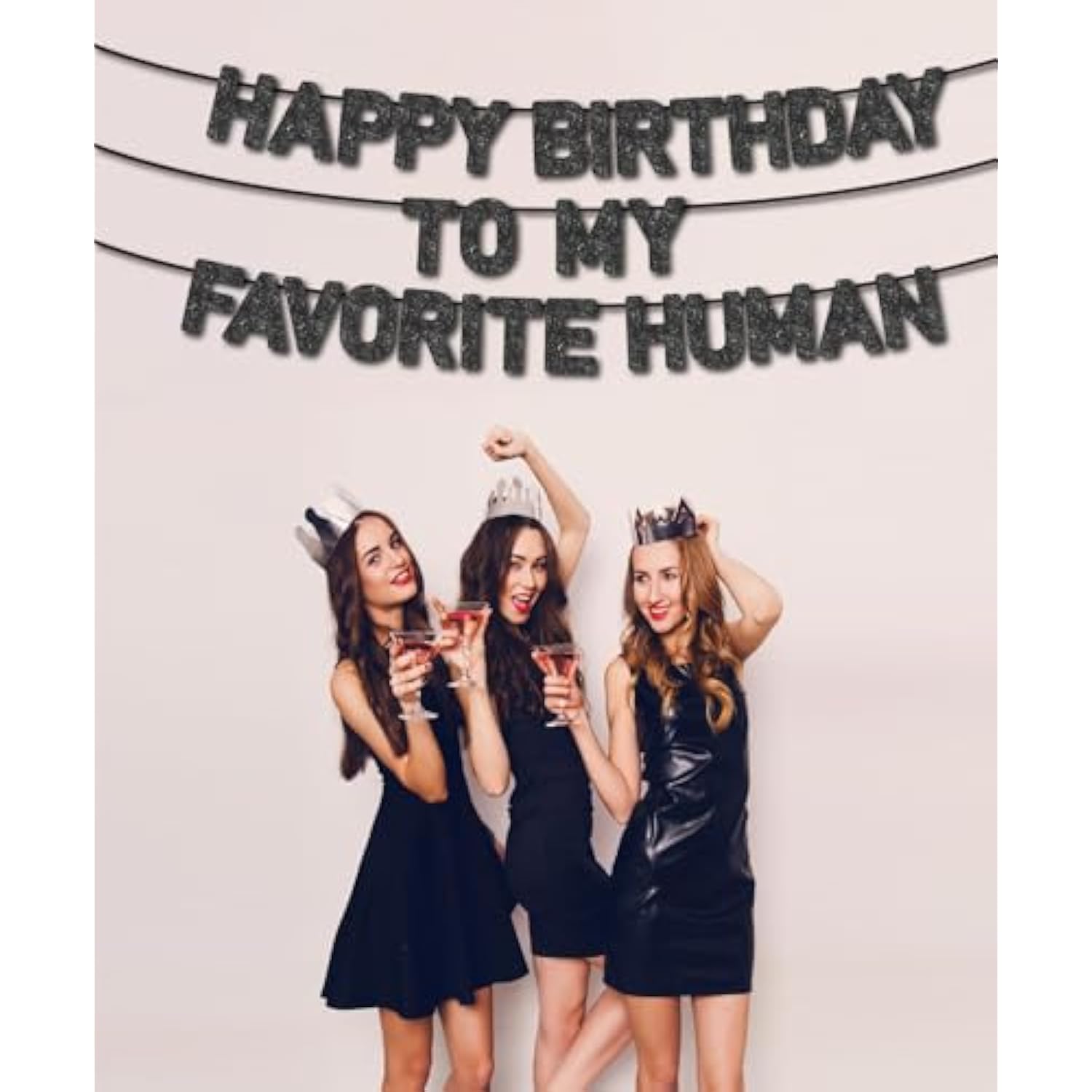Pre-Strung Happy Birthday To My Favorite Human Banner,Husband Wife Father Mother Son Daughter Birthday Party Supplies, Ideas, Gifts And Decorations,