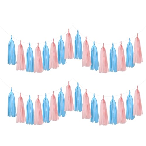 20PCS Gender Reveal Tissue Paper Tassel Banner Baby Pink Blue Tissue Garland for Gender Reveal Party Decorations Boy or Girl Baby Shower Decorations Pink and Blue Decorations