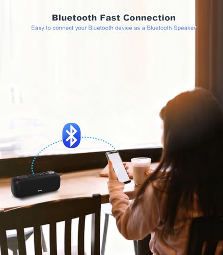 Portable Bluetooth Speaker FM Radio Digital, Support USB/SD Card MP3 Music Player/AUX/REC, Build-in 3000mAh Rechargeable Battery, 10W Powerful